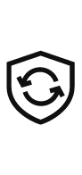 Shield Icon