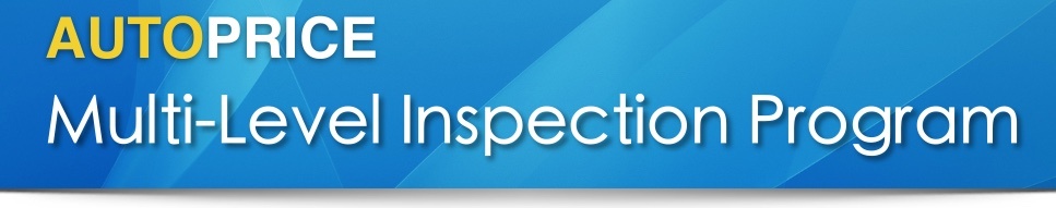 Multi-Level Vehicle Inspections